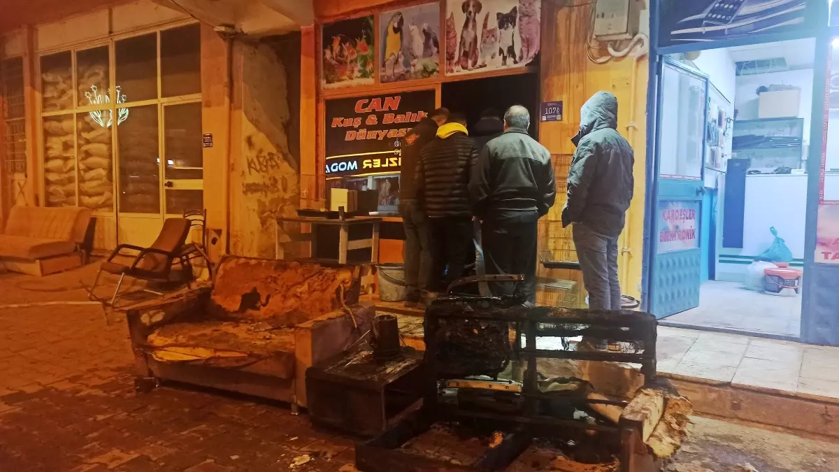 Pet Shop Yangını: Hayvanlar Öldü, Sahibi Yaralandı